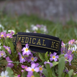 Patch Schmal